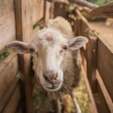 Agroturismo Casas Da Levada