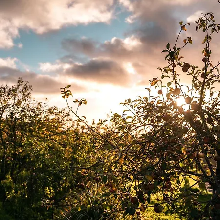 Agroturismo Casas Da Levada *