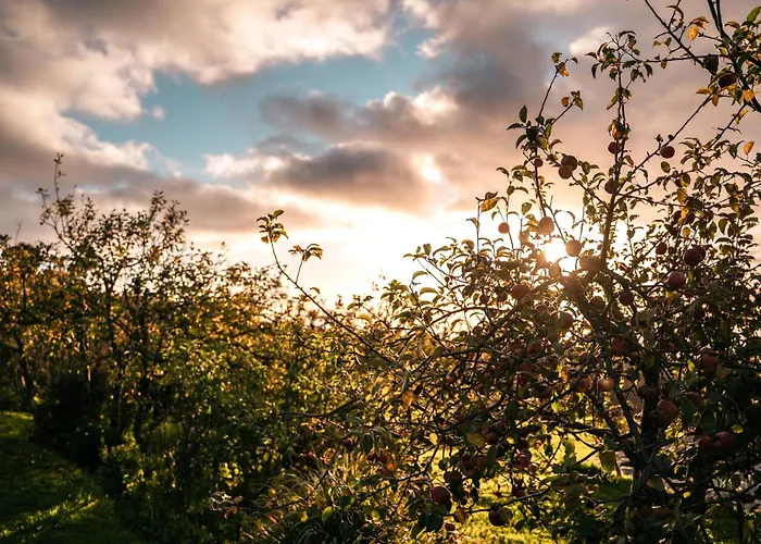 Vakantieboerderij Casas Da Levada *